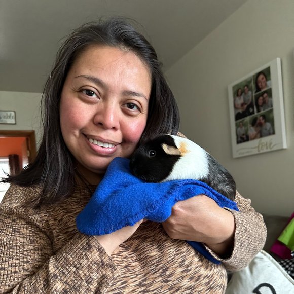 Please read description for information: - Picture 6 of 8